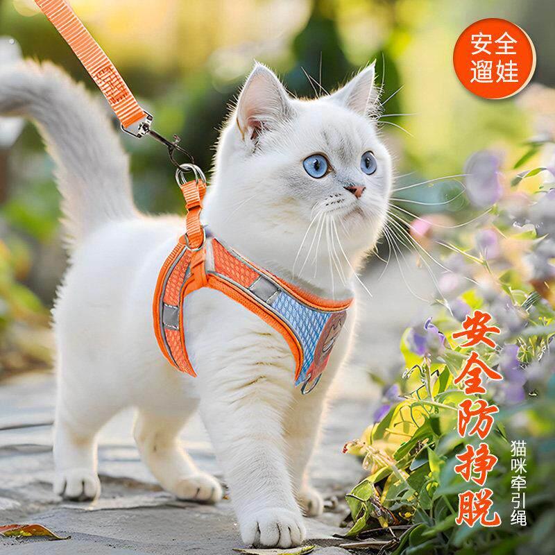 宠物猫咪牵引绳背心式胸抱婴袋外出英短溜猫绳猫链子防挣脱猫猫用