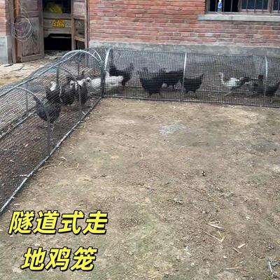 鸡笼走地铁丝网养鸡隧道户外庭院跑道养殖笼子家用散养鸭子折叠式
