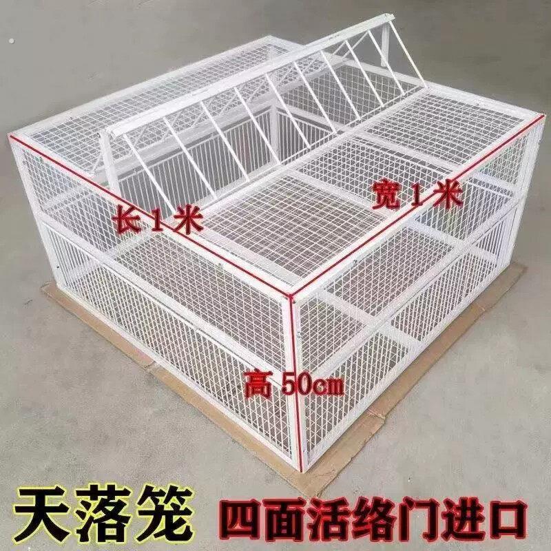 天落笼跳笼只进不出鸽子笼家养鸽子笼活络撞门笼全自动收鸽神器