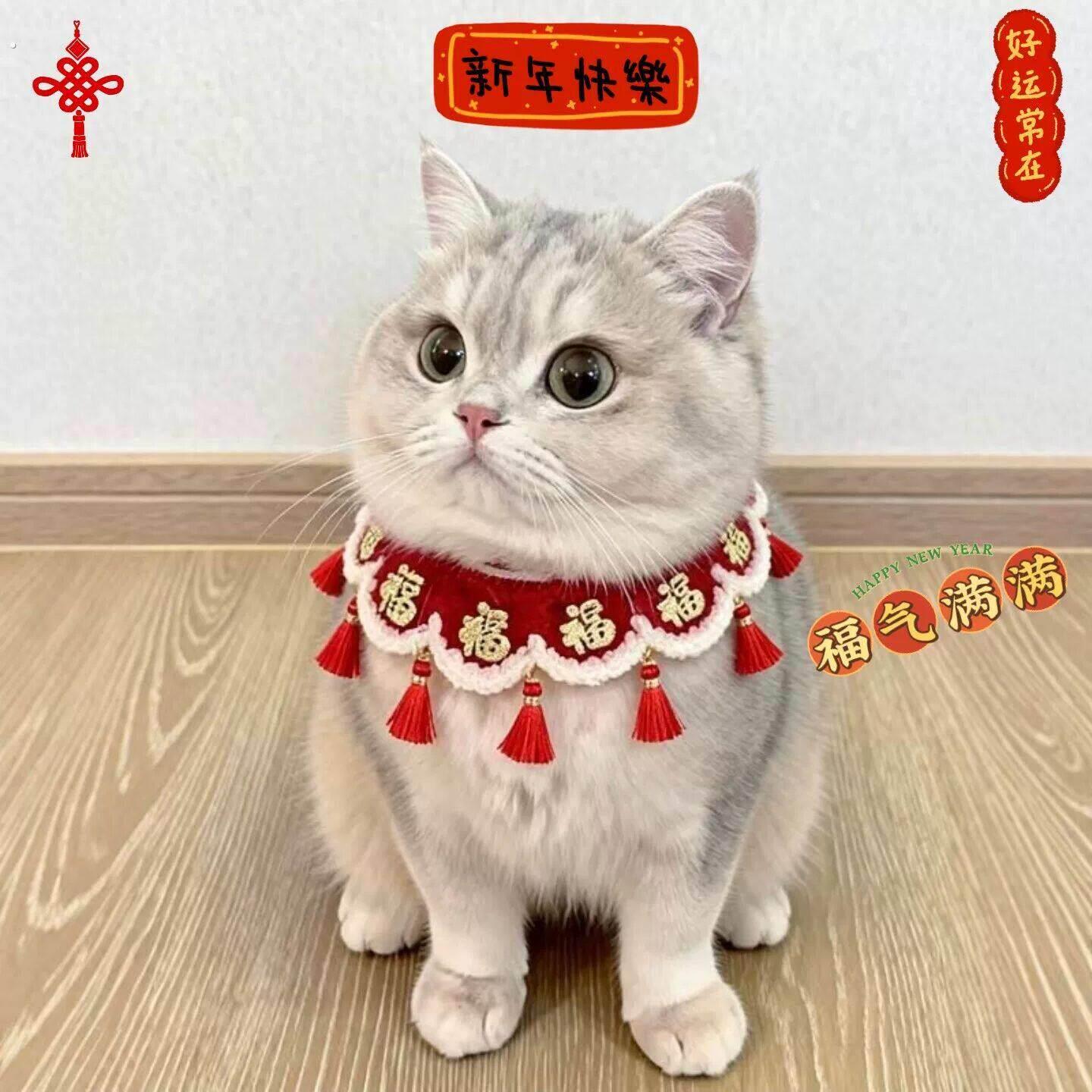 猫咪新年围脖宠物项圈春节装饰口水巾小猫喜庆围兜装2026过年衣服