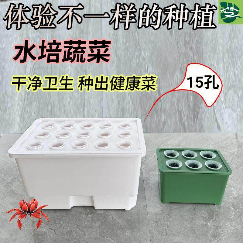 水培空心菜器皿15孔室内水培蔬菜种植箱无土栽培植物育苗盒阳台种