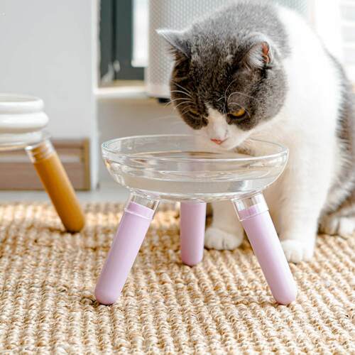 三角支撑碗架实木加高玻璃猫碗增高支架大碗口透明颜值狗碗宠物碗