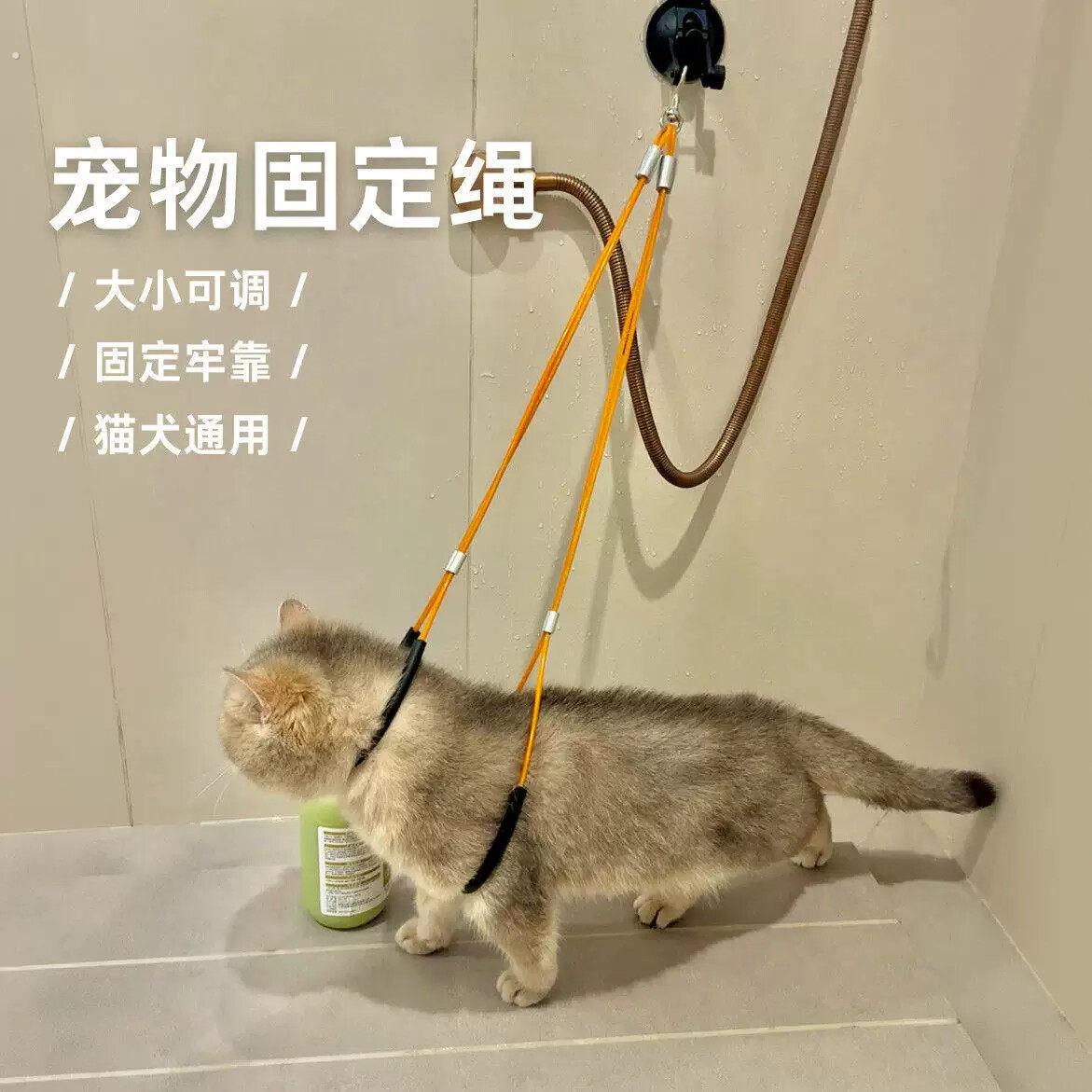 狗狗洗澡固定器猫咪固定神器家用狗狗洗澡固定器宠物美容台吊绳钢