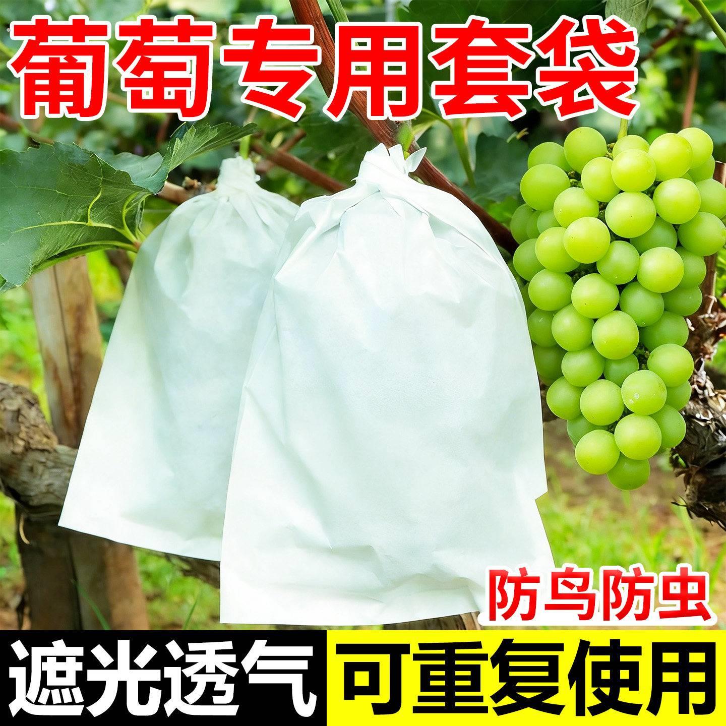 葡萄专用套袋葡萄套袋纸袋防水袋子保护袋防虫防鸟果子果树果实袋