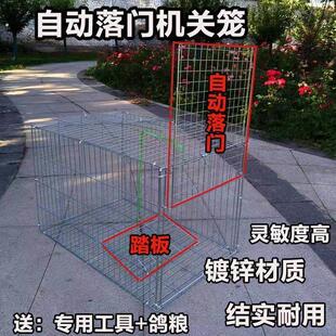 防赶走大鼠狼神器驱赶养鸡大笼子专用扑捉器鼠