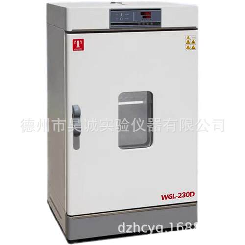 天津WGL-230B立式电热鼓风干燥箱230D药材烘烤箱高温老化箱