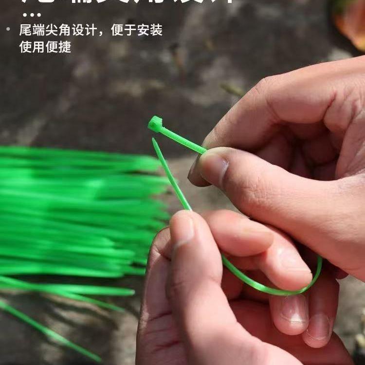 绿色一次性塑料尼龙扎带园林植物牵引固定扎丝捆绑月季藤蔓扎带条