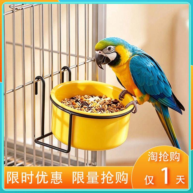 鸟类喂食器用品鹦鹉鸟笼配件投喂神器悬挂式笼架鸟用饮水器鸟食盒