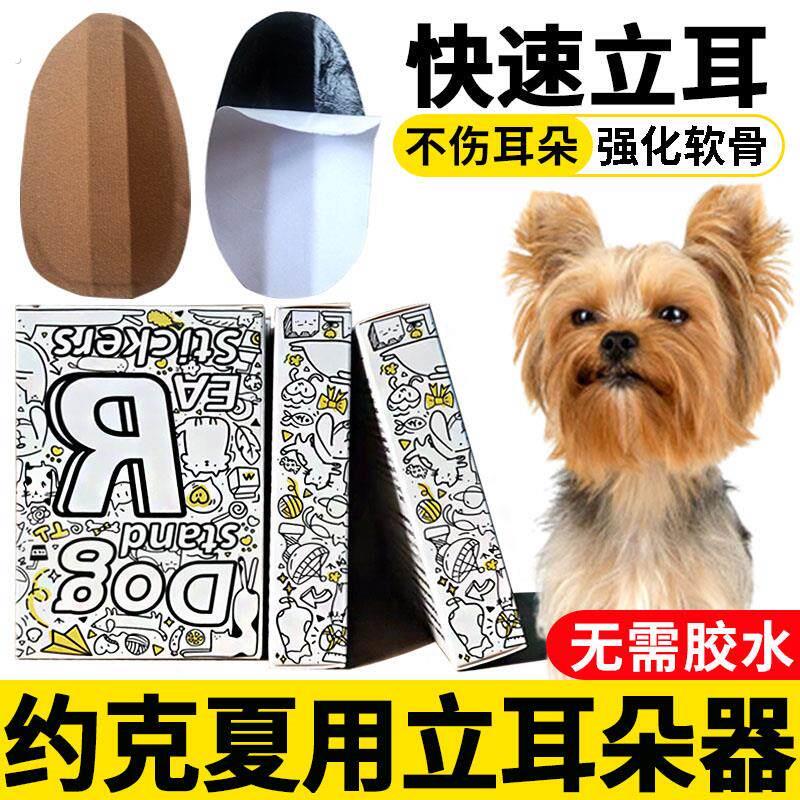 约克夏专用狗狗立耳神器小狗耳朵立耳器立耳珠幼犬竖耳辅助器夹子