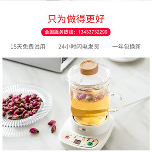 玻璃熬汤煲汤煮粥壶养生壶煮茶壶家用大烧开水电炖锅电煮锅电热杯