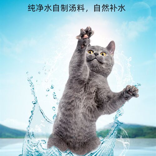 多特思猫咪零食猫条猫零食营养增肥猫罐头小鱼干湿猫粮100支整箱