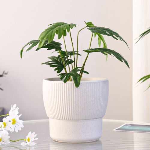 北欧陶瓷花盆家用轻奢高级感室内蝴蝶兰专用虎皮兰茉莉兰花盆盆栽