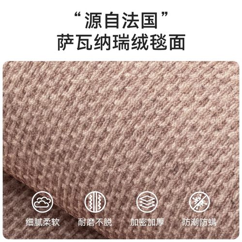 入户门地垫2025新款轻奢玄关免洗进门脚垫门口家用门垫可裁剪地毯
