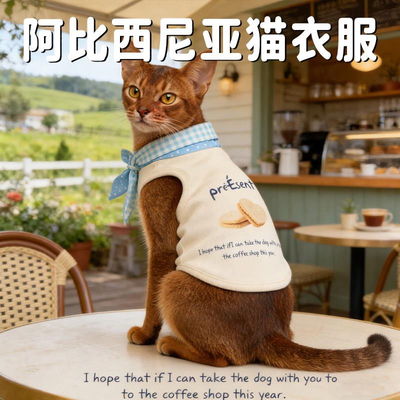阿比西尼亚猫衣服四季款透气春装薄款清凉猫咪防掉毛幼猫宠物服饰
