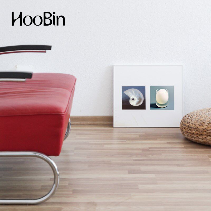 HooBin 动物贝壳蛋贺卡套装 牛兔子小狗明信片 装饰画礼物祝福