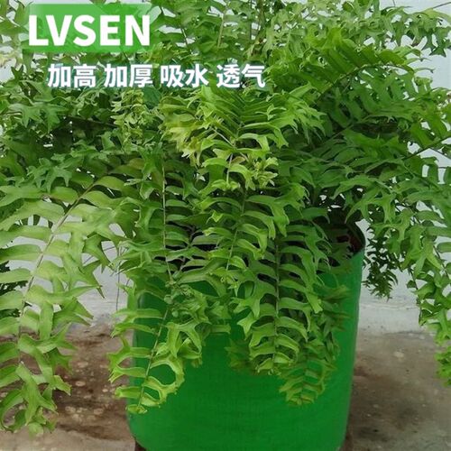 加厚高款花盆大无纺布种美植袋深根部加仑盆阳台种花楼顶种菜蔬果