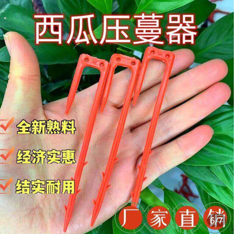 西瓜压蔓器西瓜甜瓜压蔓器瓜秧藤蔓固定器塑料叉子厂家直销农用