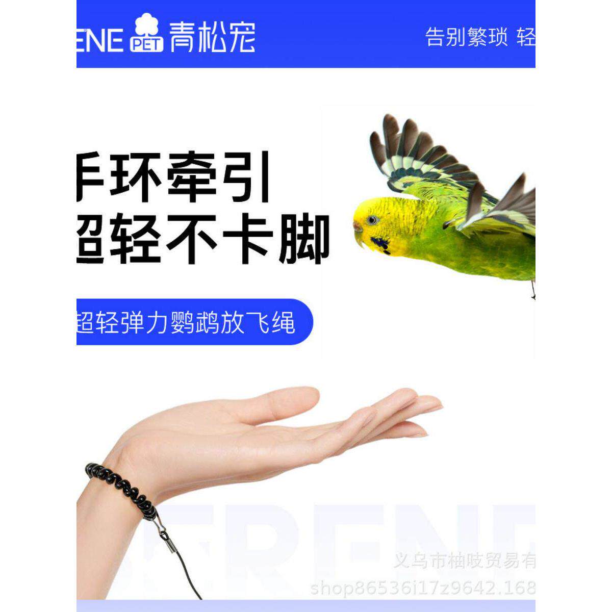 鹦鹉牵引绳放飞绳不伤虎皮脚环遛鸟训练玄凤牵引外出鸟用脚链