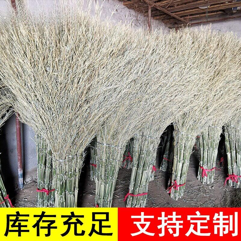塑料丝大扫把环卫专用大扫帚单个家用户外笤帚扫地神器庭院扫落叶