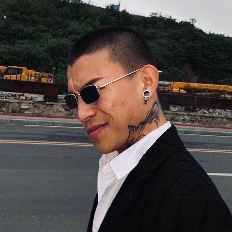 攀娘同款复古太阳眼镜男士潮流偏光太阳镜开车网红个性小框方形眼