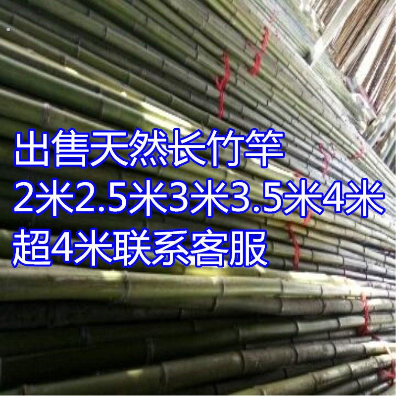 天然长竹杆1米2米3米4米5米6米竹竿粗竹竿大毛竹杆搭架立柱竹子杆