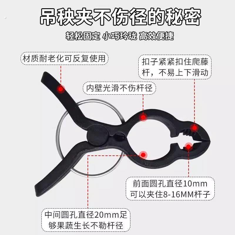 番茄夹子黄瓜西红柿茄子辣椒豆角豆秧夹支撑植物种菜园艺固定器