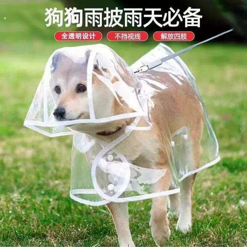 狗狗的雨衣泰迪专用中型小型犬柴犬透明雨披防水柯基宠物衣服雨天