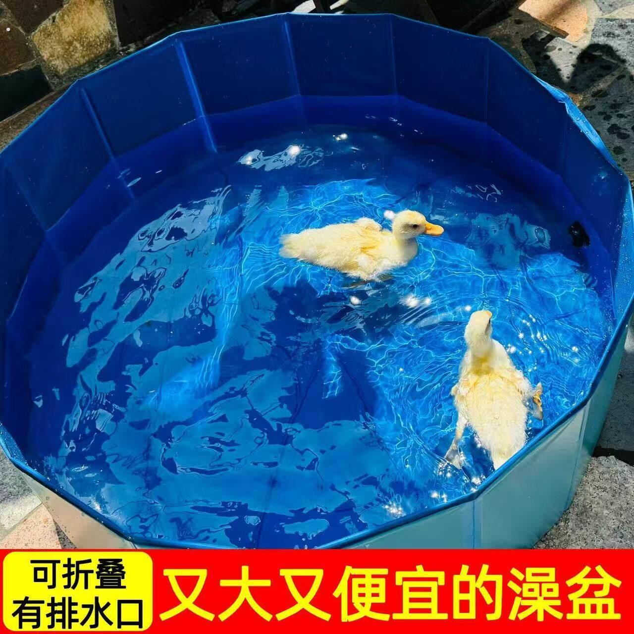 宠物洗澡盆可折叠猫咪狗浴缸防跑洗猫盆式户外小狗狗泡澡桶