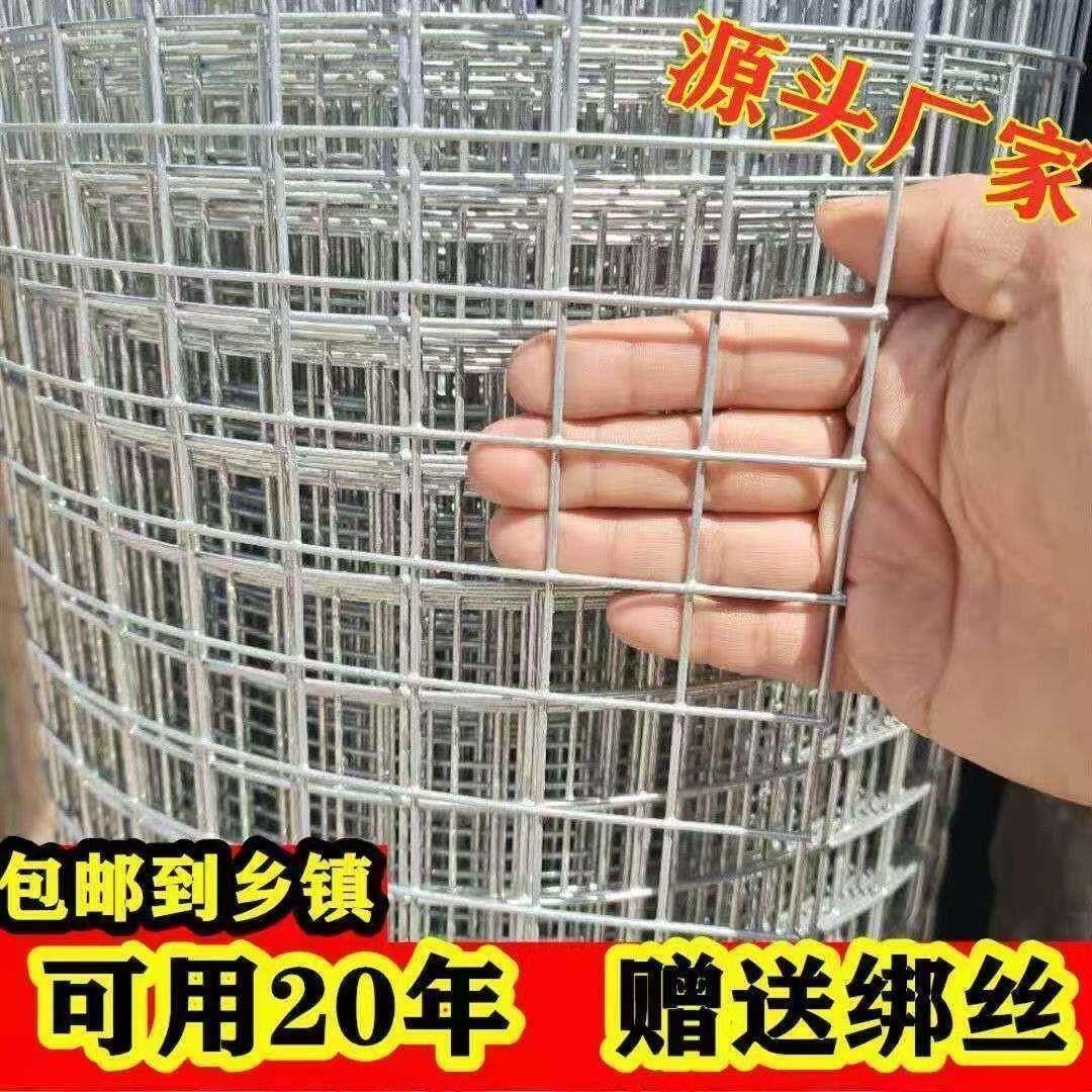 热镀锌铁丝网围栏网养殖网钢丝网拦鸡网建筑网防护网铁网格玉米网