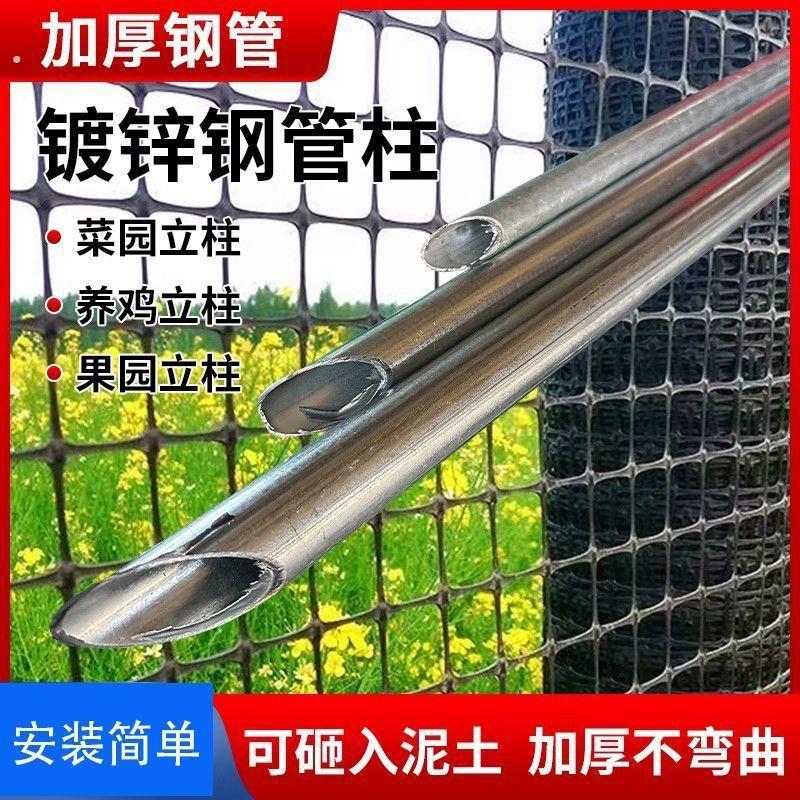 热浸镀锌加厚尖头钢管立柱铁丝网围栏圆管户外防锈铁柱栏杆养殖围