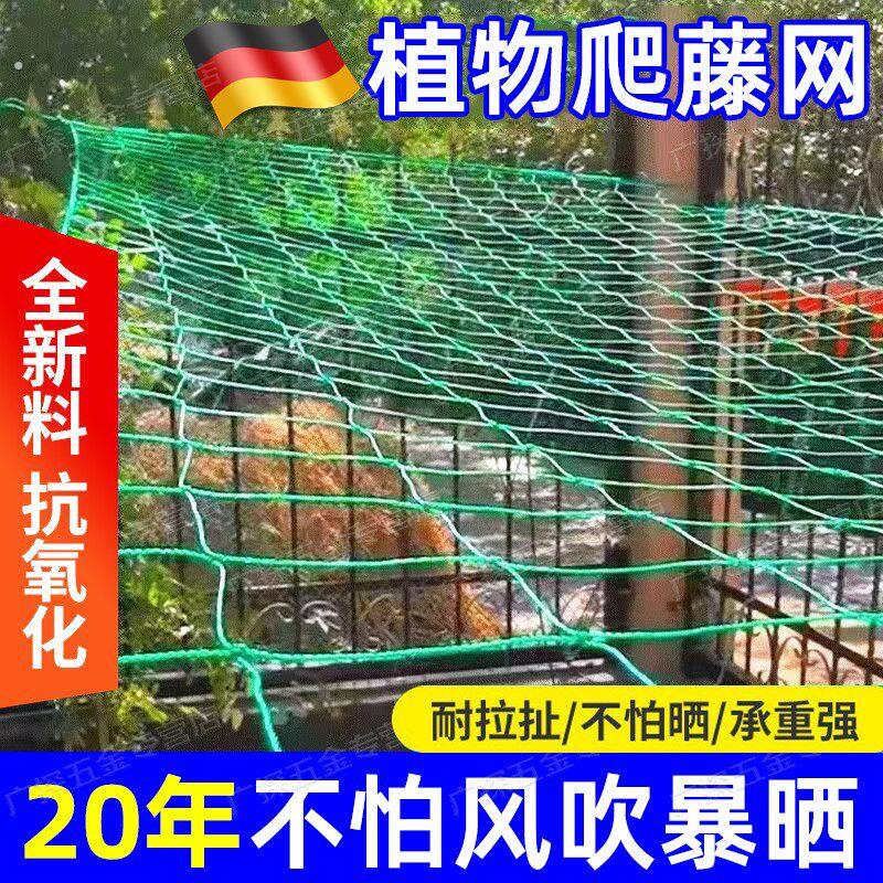 植物爬藤网豆角黄瓜丝瓜吊瓜攀爬搭架网葡萄苦瓜月季百香果种植网