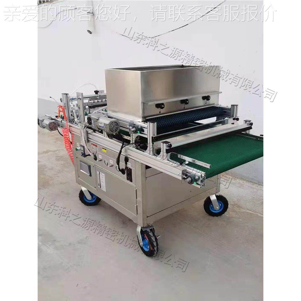 全自动穴盘育苗种种种机 台式蔬菜子播XRN播种机 一键操作播一体