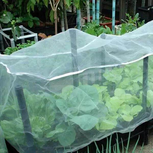 农用防虫网加厚白纱网果园蔬菜大棚菜地养殖场防蚊虫果蝇针蜂小鸟