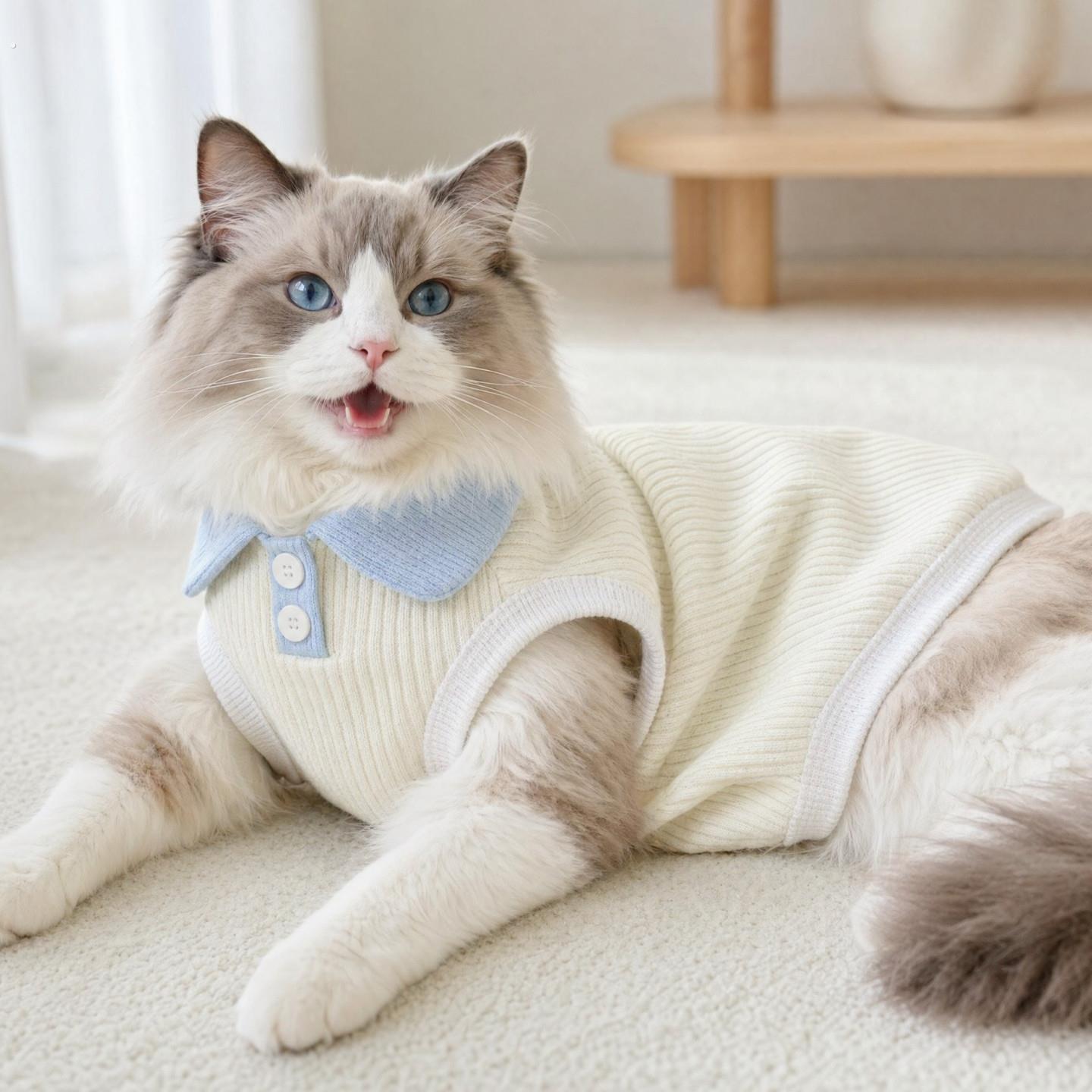 猫咪衣服薄款防掉毛宠物小背心幼猫新款德文布偶猫可爱透气服饰
