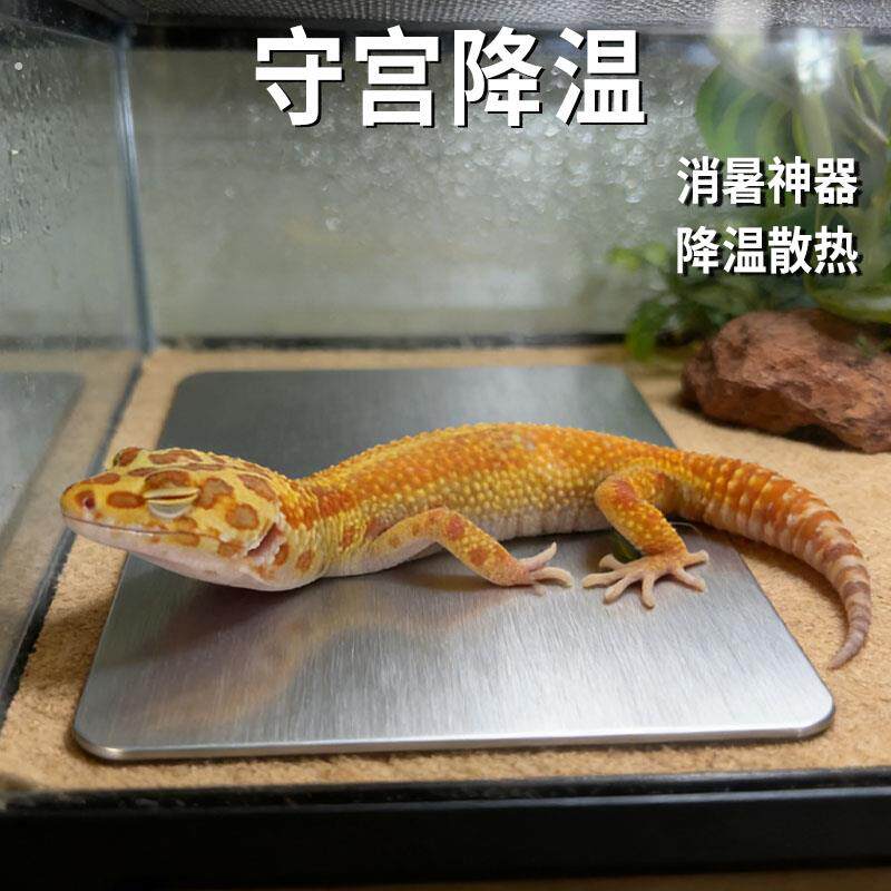 守宫降温夏季铝板冰垫散热板隔热片夏天消暑睫角豹纹蜥蜴爬宠用品