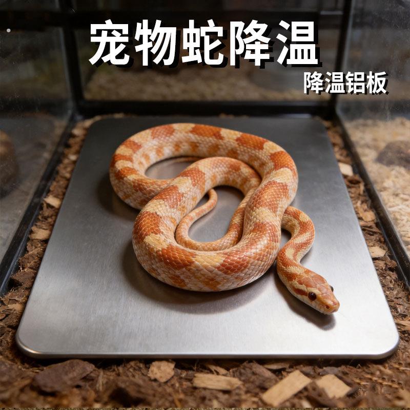宠物蛇降温夏季铝板冰垫散热板隔热片夏天消暑蛇缸造景爬宠用品
