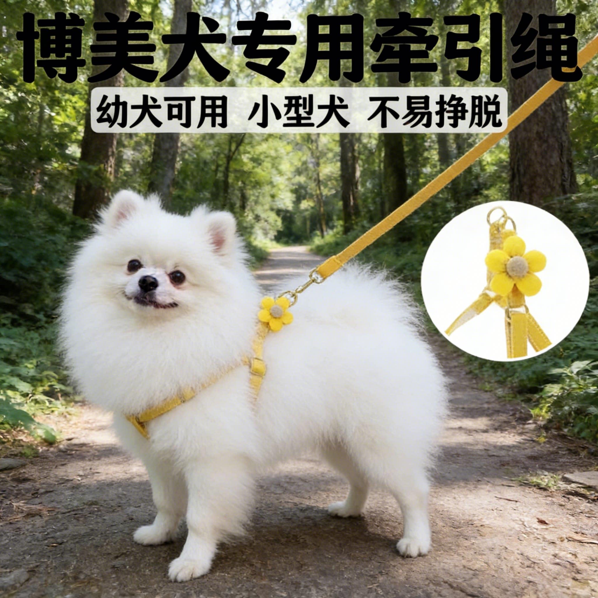 博美犬专用可调节牵引绳小型犬幼犬小体狗狗炼子可伸缩宠物用品