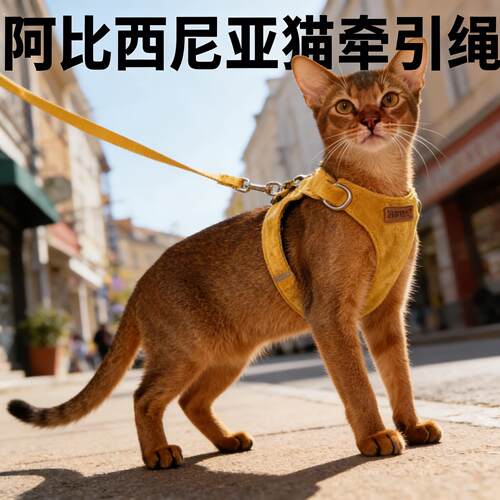 阿比西尼亚猫牵引绳防挣脱外出专用小猫咪出门绳子背心胸背可调节