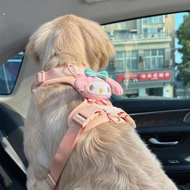 宠物狗狗胸背猫咪牵引绳大狗遛狗绳子中型犬小型犬宠物用胸背带