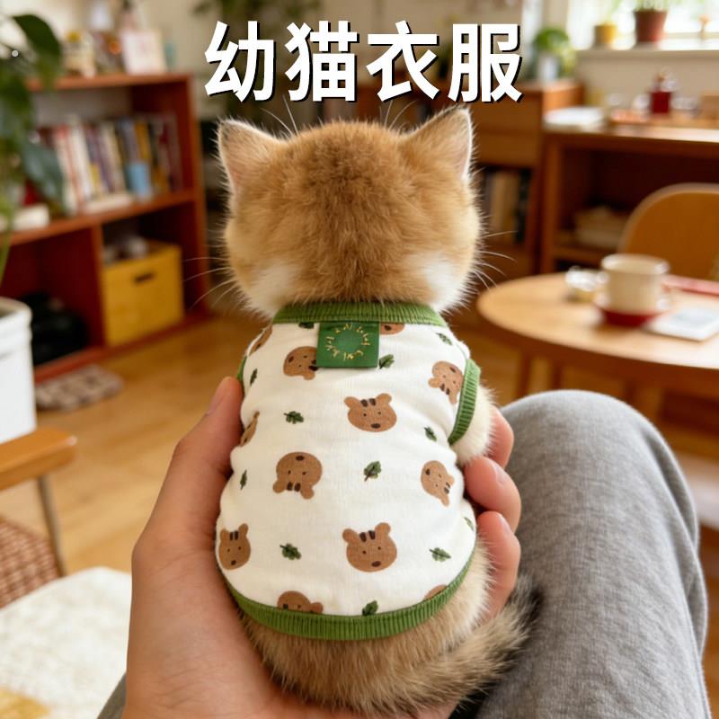 幼猫衣服夏季猫咪2个月特小一个月一斤内超小猫防掉毛