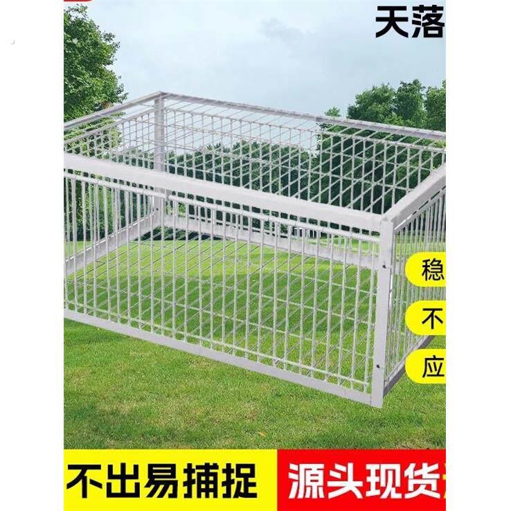 捕鸽子地拍网天落笼鸽子笼加厚加密自动收鸽子神器活络门撞门户外