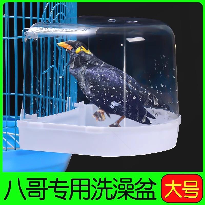 鹩哥八哥专用洗澡盆大号玄凤鹦鹉鸟用洗澡神器鸟笼外置方圆笼外挂
