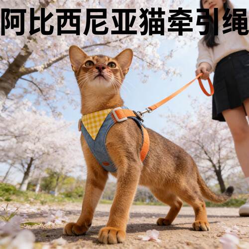 阿比西尼亚猫专用可调节胸背带防挣脱外出遛猫牵引绳套装宠物用品