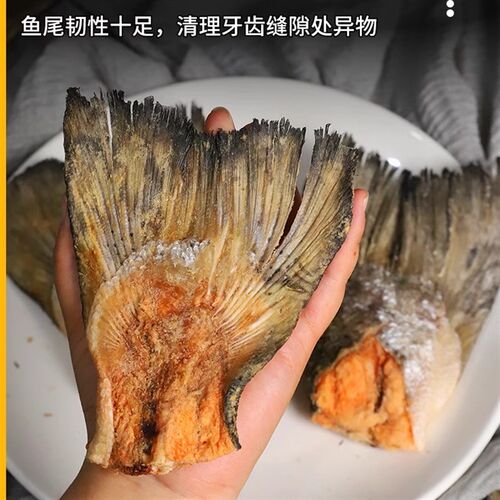 冻干三文鱼尾鱼皮宠物狗零食猫咪通用鱼皮鱼块肉干磨牙棒