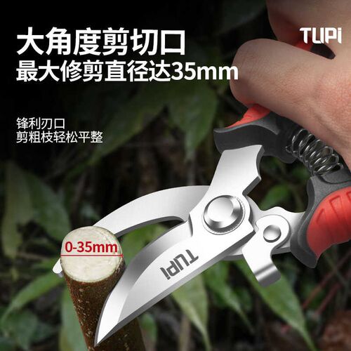 果树剪刀修枝剪强力粗枝剪省力家用SK5钢园林园艺摘果树剪子专用