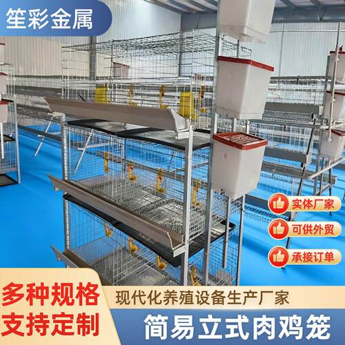 多层叠简易立式肉鸡笼养殖场鸡舍养鸡养殖笼H型肉鸡笼养殖设备