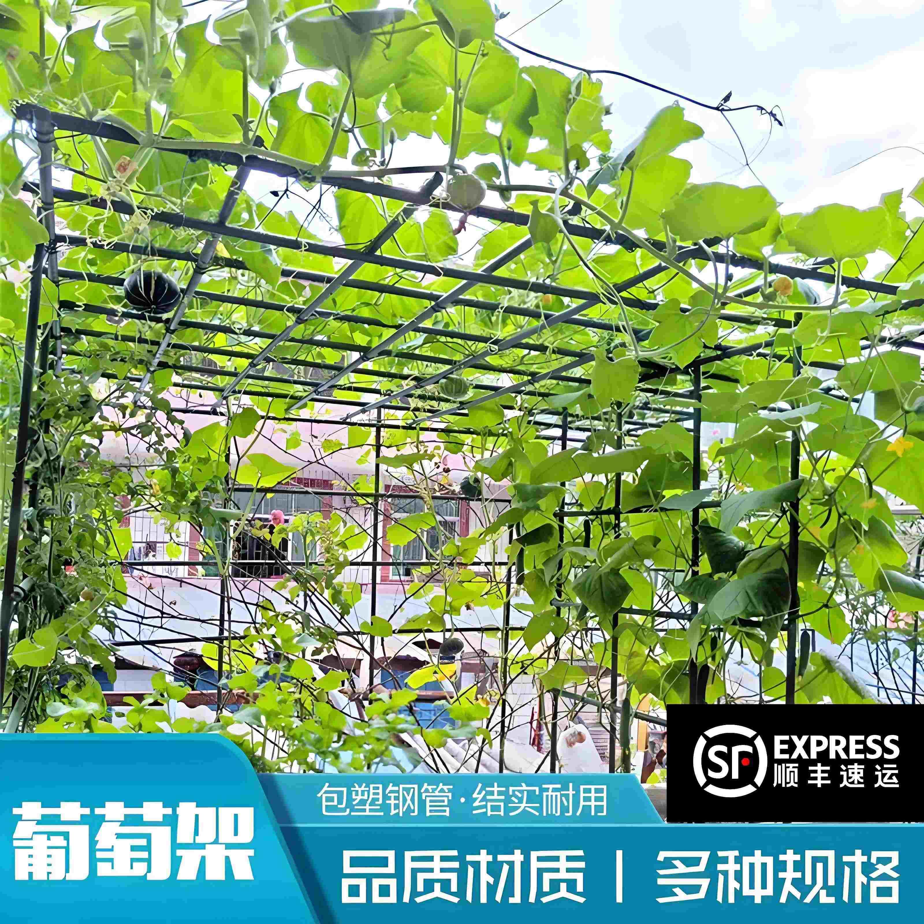 棚架杆葡萄架子庭院户外爬藤架葫芦架丝瓜百香果架种菜植物瓜支撑