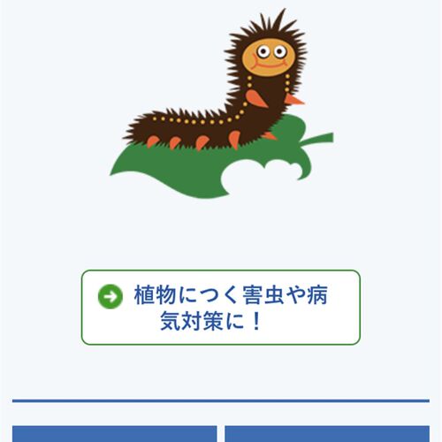 植物医生大红色瓶蚜虫红蜘蛛白粉病蓟马黑斑蚧壳虫 【住友】