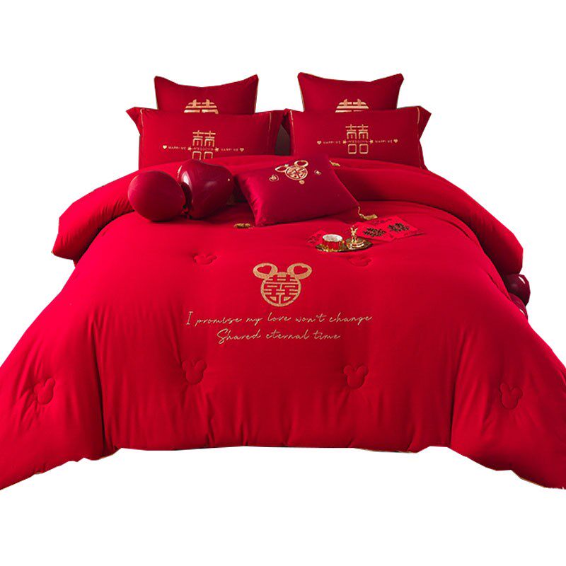 大红色喜被被芯结婚女方陪嫁被子双人春秋冬被加厚夏凉被新婚送礼