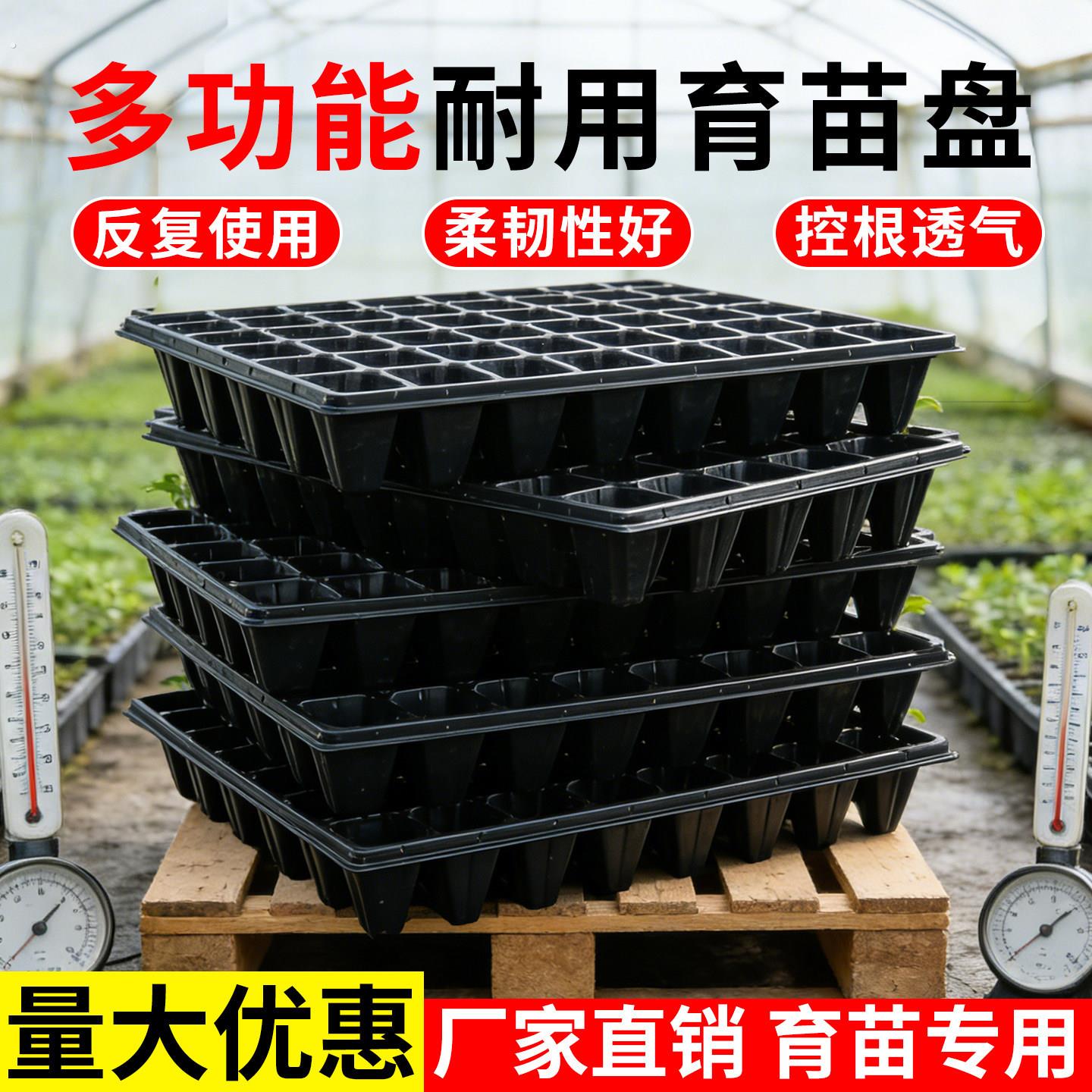 育苗盘穴盘育苗盆育苗杯育苗盒玉米育苗专用盘西瓜育苗盘穴盘苗盘